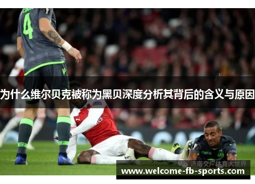 为什么维尔贝克被称为黑贝深度分析其背后的含义与原因