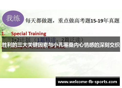 胜利的三大关键因素与小孔塞桑内心情感的深刻交织 胜利的三大关键因素与小孔塞桑内心情感的深刻交织