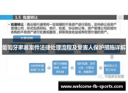 葡萄牙家暴案件法律处理流程及受害人保护措施详解