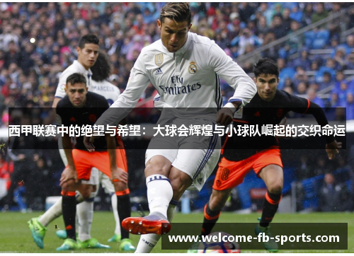 西甲联赛中的绝望与希望：大球会辉煌与小球队崛起的交织命运