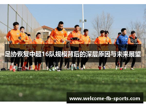 足协恢复中超16队规模背后的深层原因与未来展望